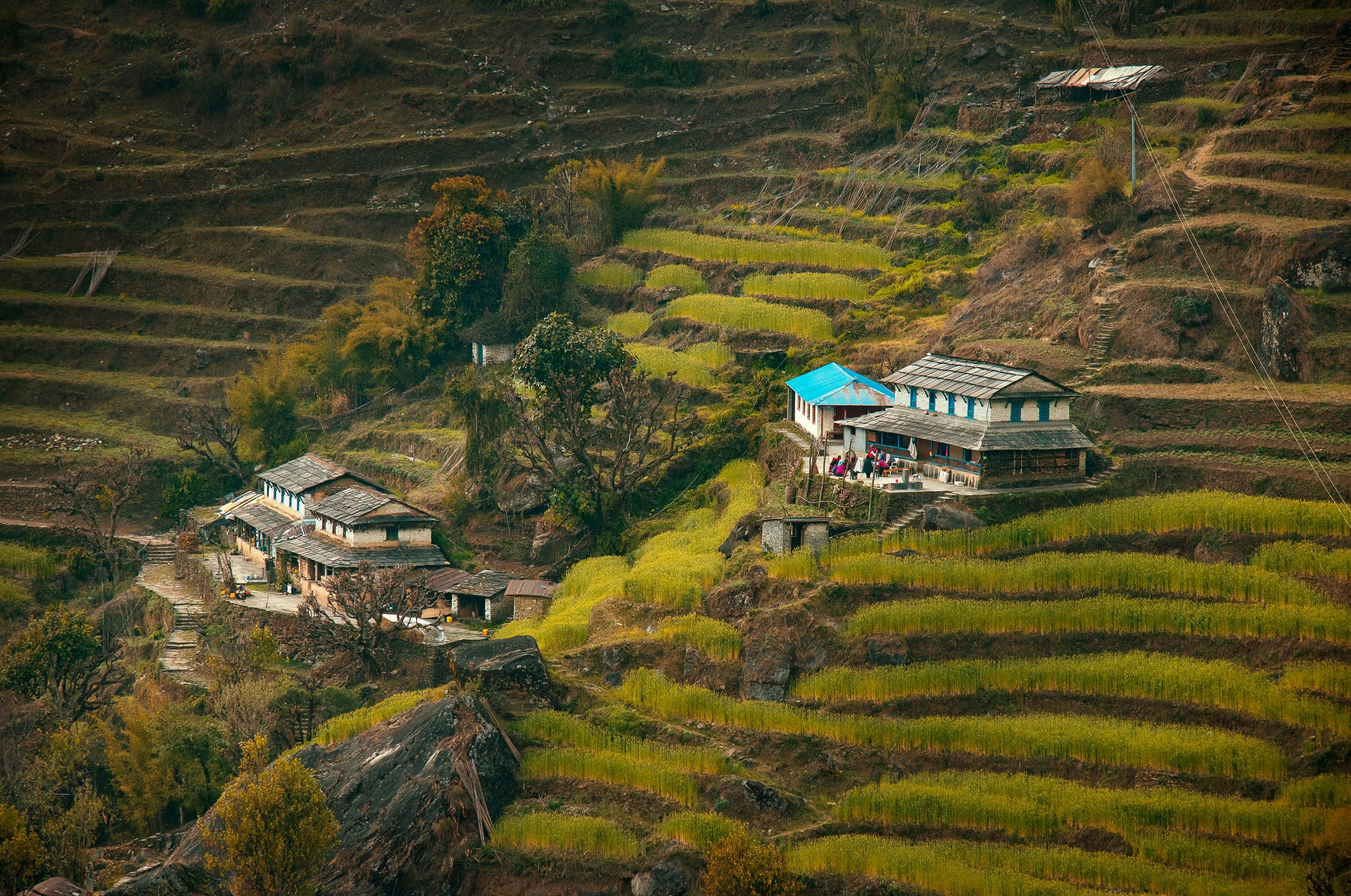 Homestay Experiences in Rural Nepal