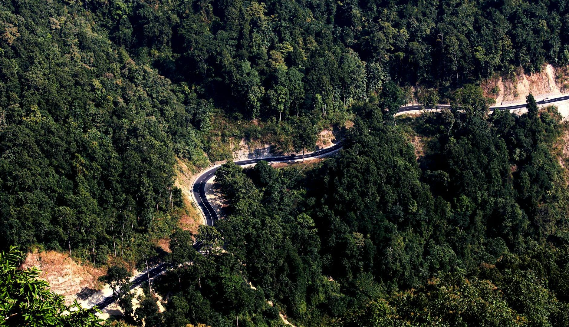 High angle shot of a winding road through a lush forest, capturing nature's beauty and scenic travel routes.