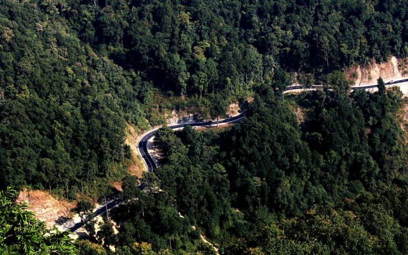 High angle shot of a winding road through a lush forest, capturing nature's beauty and scenic travel routes.
